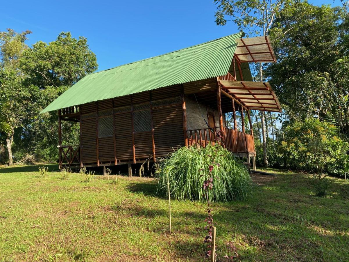 Eco Guest House- Sarapiqui 2 Bagian luar foto